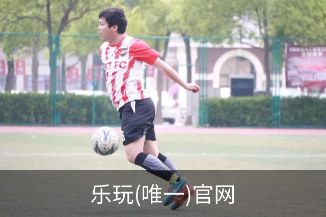 乐玩(唯一)官网公司形象展示图