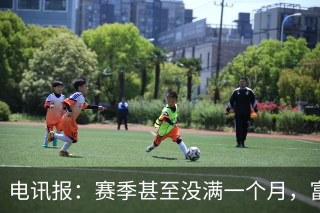 电讯报：赛季甚至没满一个月，富勒姆对卡里克来说已经成了生死战